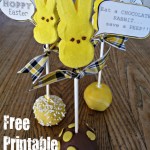 Easter PEEP Conversation Bubbles 