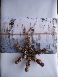 P10604931 Birch Bark printable