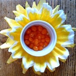 coffee filter flower 9